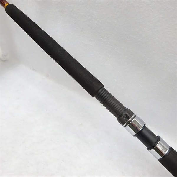 潮流Ｖ２３０－２４０
